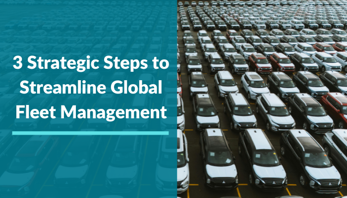 Global fleet management strategy